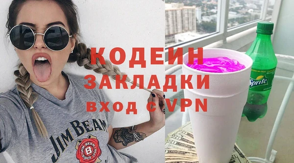 индика Богданович