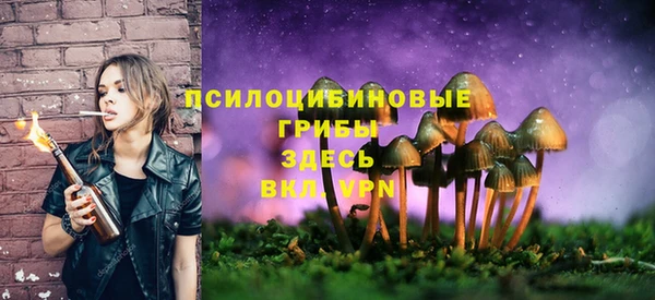 а пвп мука Бугульма