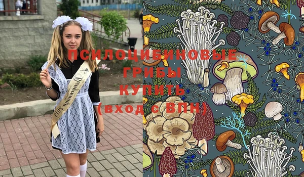 Альфа ПВП Верхнеуральск