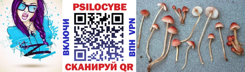 Галлюциногенные грибы Psilocybine cubensis  kraken вход  Среднеуральск 